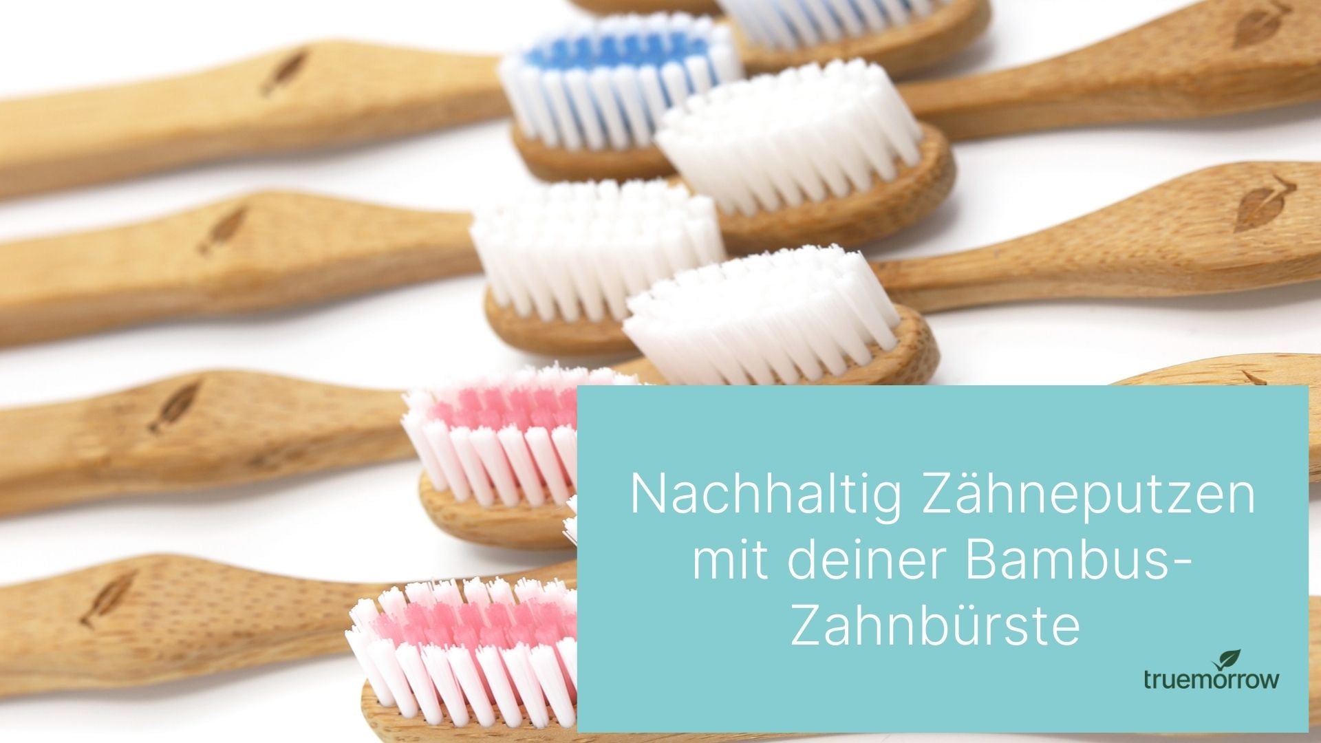 Warum eine Bambus-Zahnbrste und welche ist die beste fr dich?  truemorrow