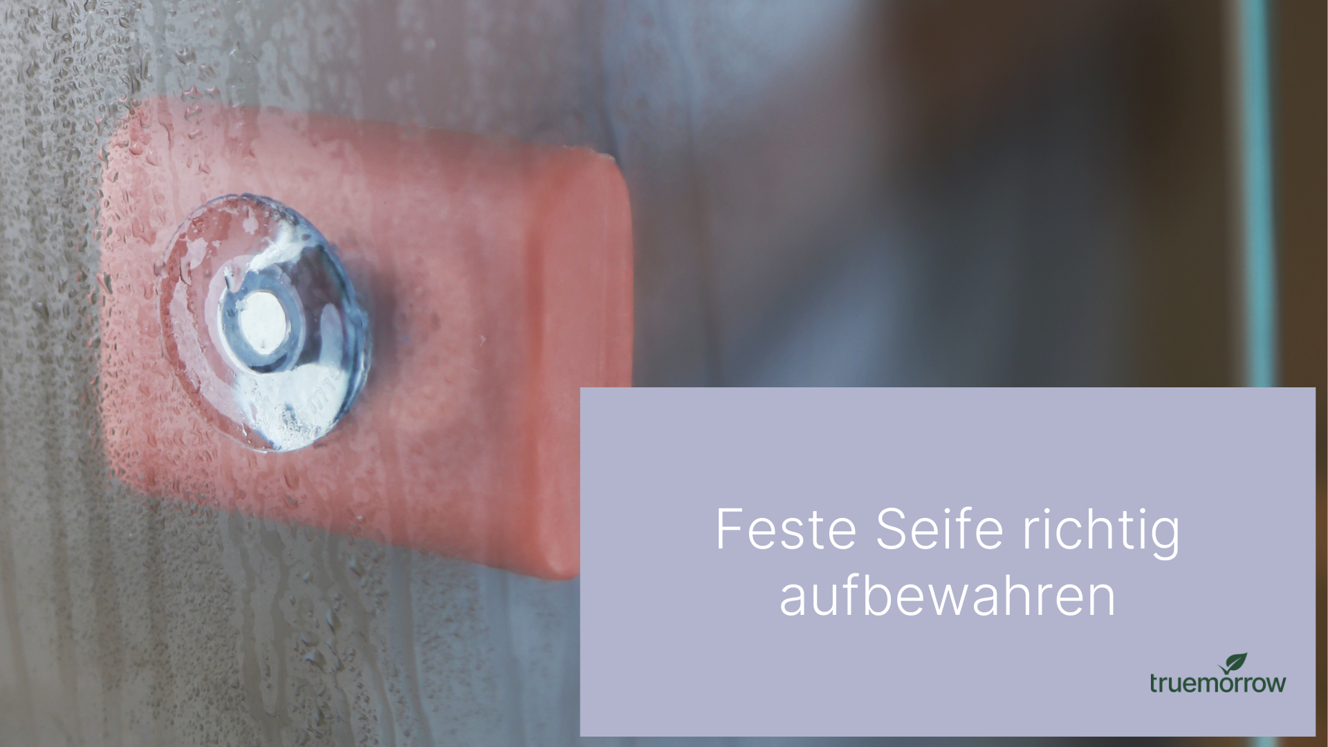 Feste Seife richtig aufbewahren  am Seifenhalter  truemorrow