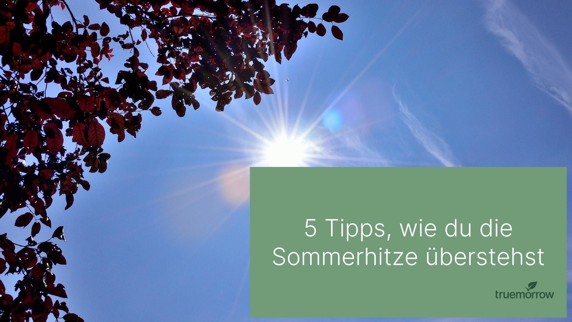 5 Tipps Wie Du Die Sommerhitze berstehst Truemorrow 5-tipps-wie-du-die-sommerhitze-berstehst-truemorrow