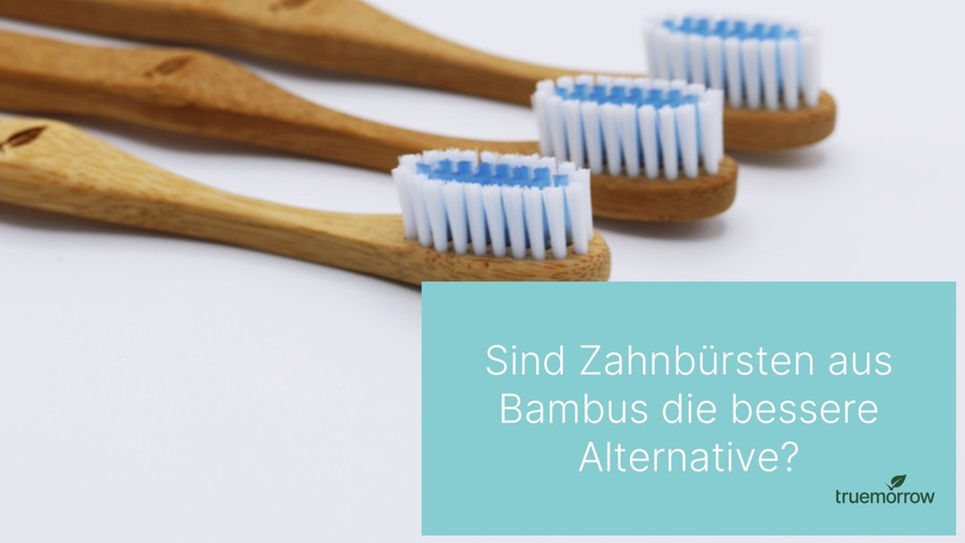 Sind Zahnbürsten aus Bambus die bessere Alternative?
