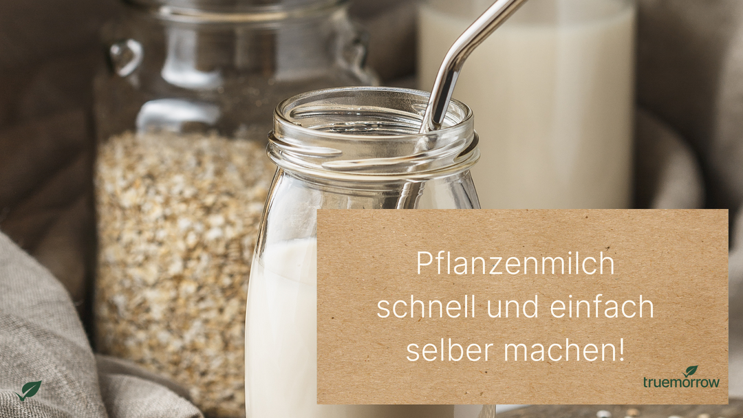Selbstgemachte Pflanzenmilch - quick & easy!