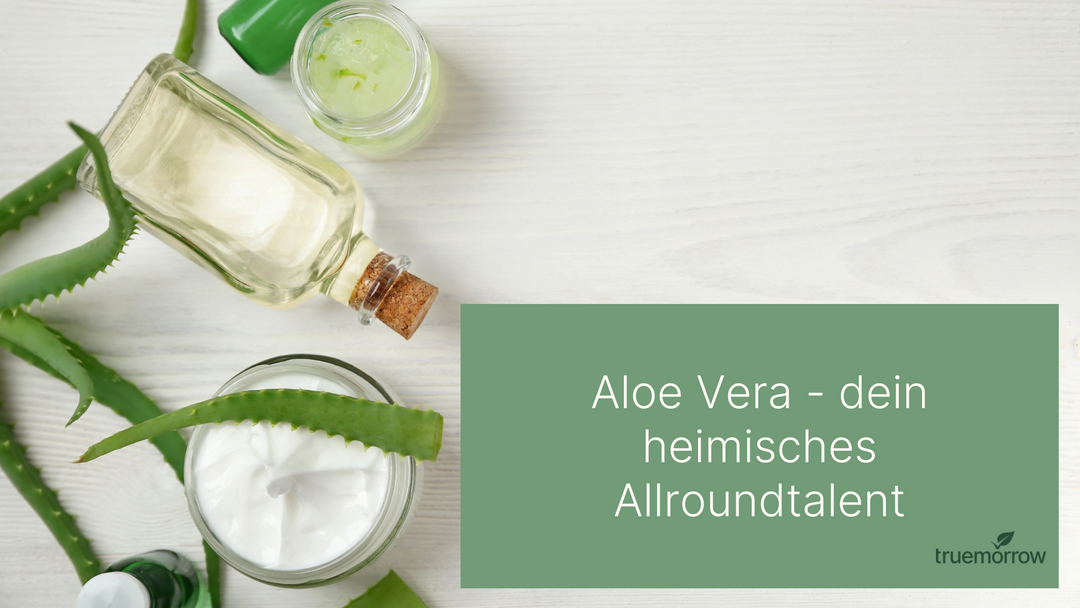 DIY Aloe Vera Gel