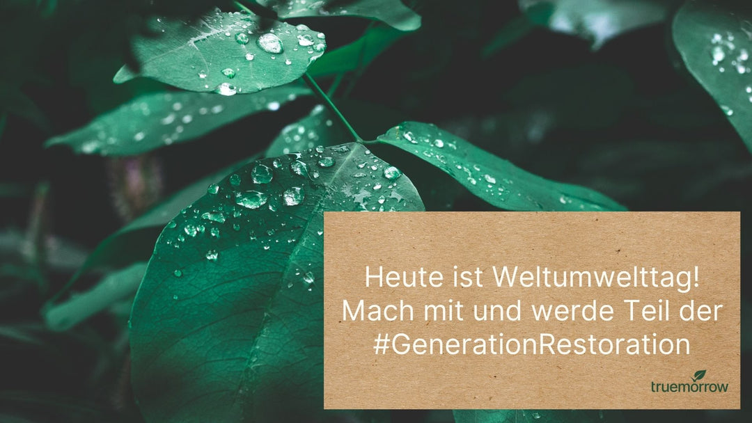 Was ist der Weltumwelttag? Werde Teil der #GenerationRestoration!