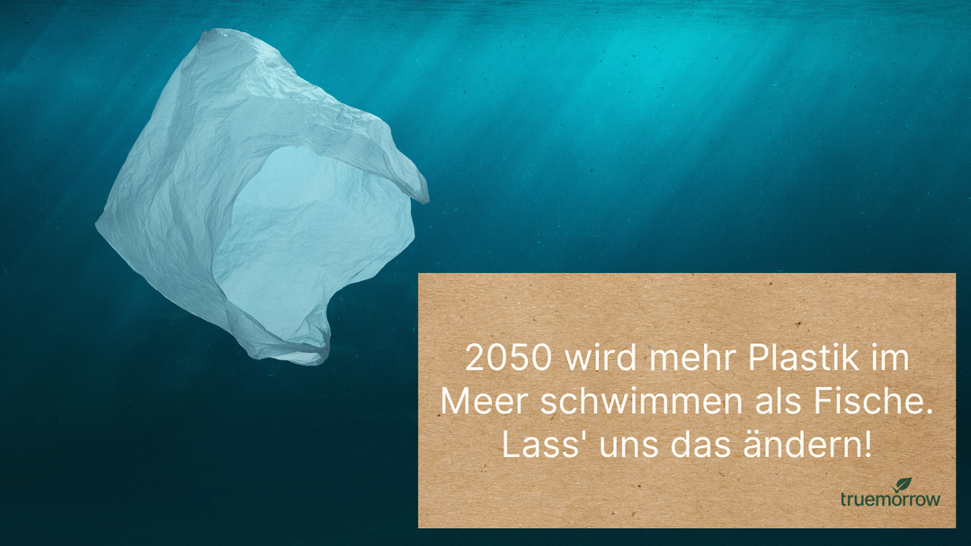 Plastikflut im Meer? So geht es anders!