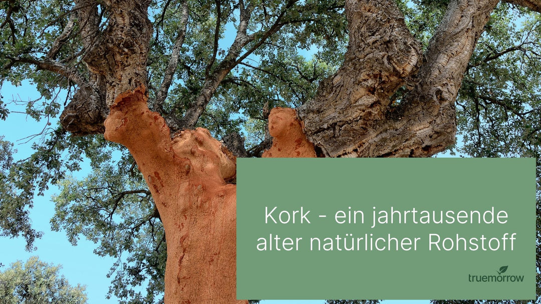 Kork - Was ist das eigentlich?