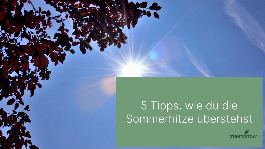 5 Tipps, wie du die Sommerhitze überstehst 