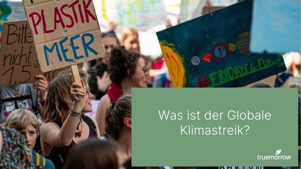 Fridays for Future im Globalen Klimastreik. Die wichtigsten Fakten erklärt. 